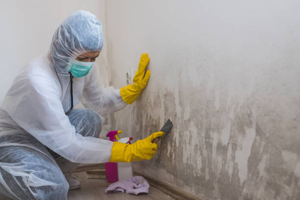 Best Post-Remediation Services in Granville, WV