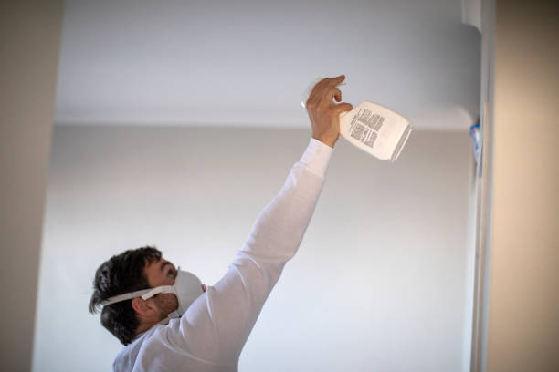 Best Basement Mold Remediation in Granville, WV