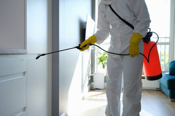 Best Industrial Mold Remediation in Granville, WV