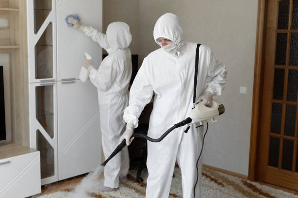 Professional Mold Remediation in Granville, WV