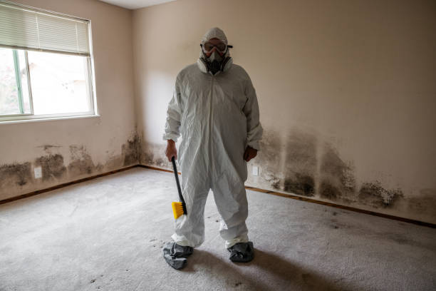 Best Mold Testing and Inspection Services in Granville, WV